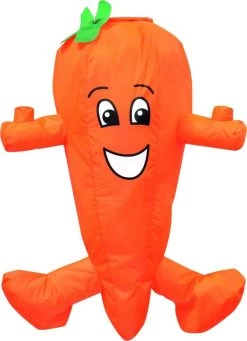 Carrot Windsock